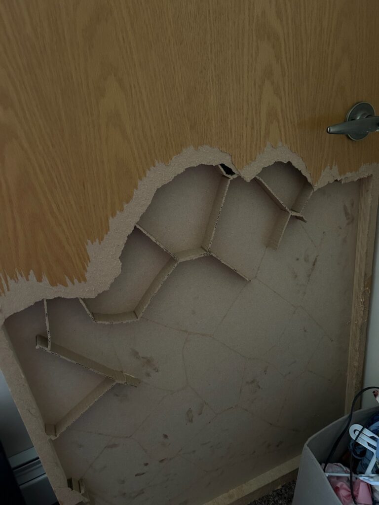 dog door damage