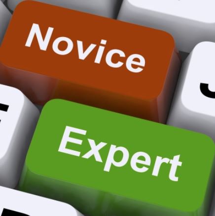 novice vs professional property manager